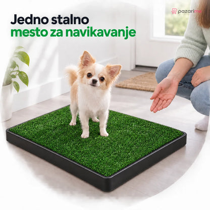 Jedno stalno mesto za navikavanje — kućni toalet sa veštačkom travom | Pazarime